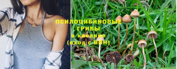 PSILOCYBIN Верхнеуральск